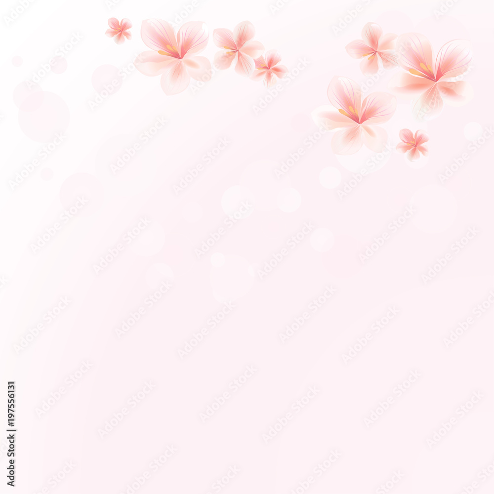 Sakura flowers on Pink bokeh background. Apple-tree flowers. Cherry blossom. Vector Sakura flowers on Pink bokeh background. Apple-tree flowers. Cherry blossom. Vector