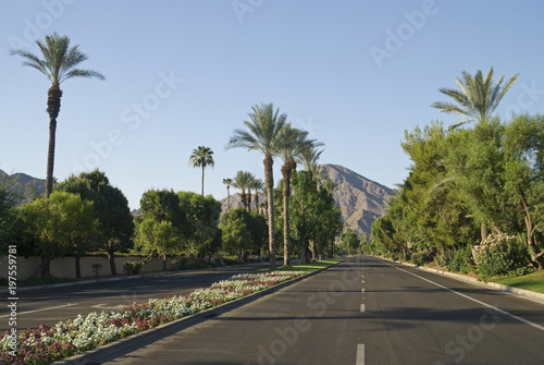 A scenic look of a palm tree lined road near Palm Springs California.