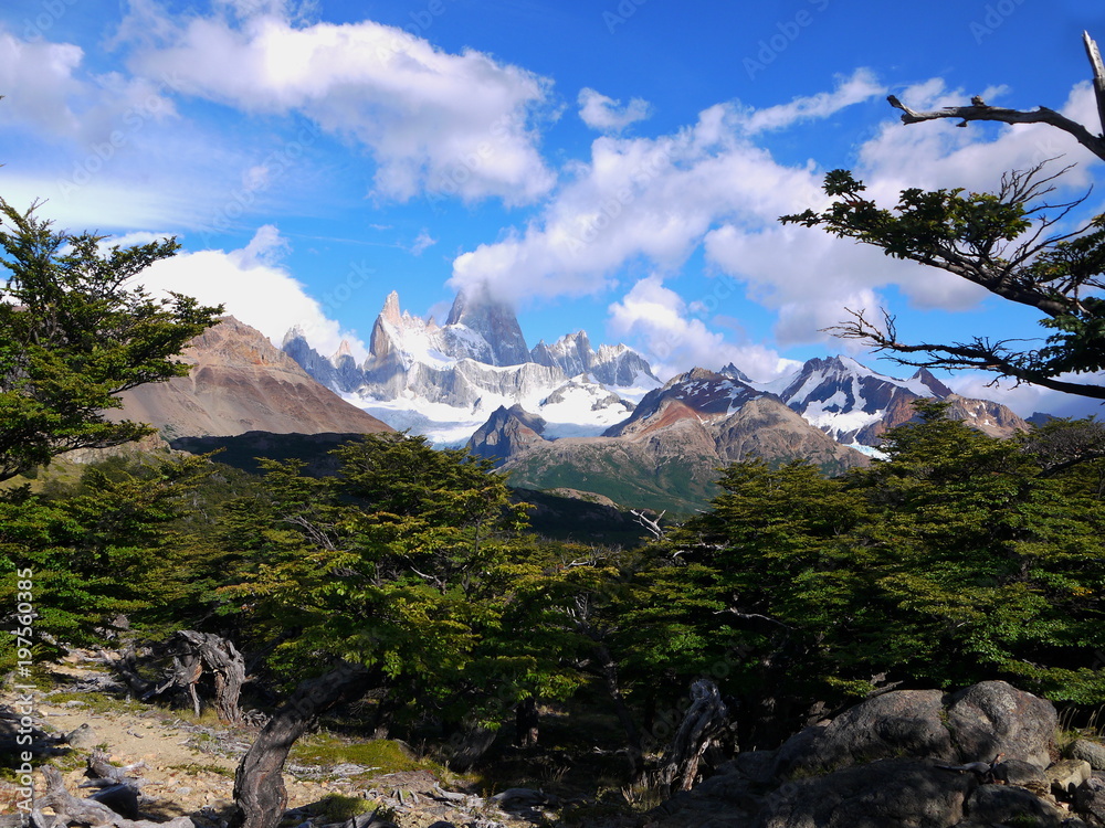 The trail towards Laguna Torre near El Chalten Patagonia Argentina