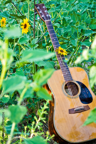 Sunflower tunes