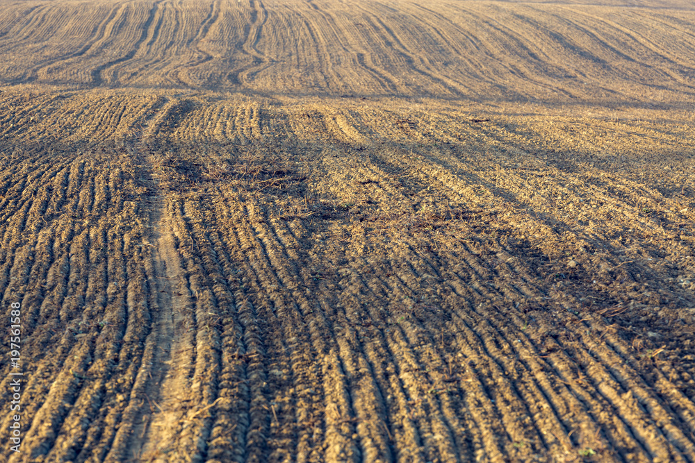 Awesome view of plowed farmland. Autumn dawn in pastel colors. Agricultural themed background. Awesome view of plowed farmland. Autumn dawn in pastel colors. Agricultural themed background.