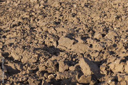 Closeup shot of Soil texture