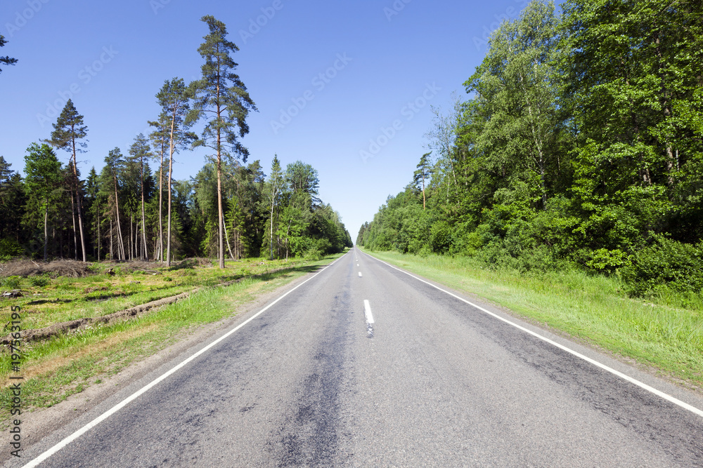 deforestation and logging