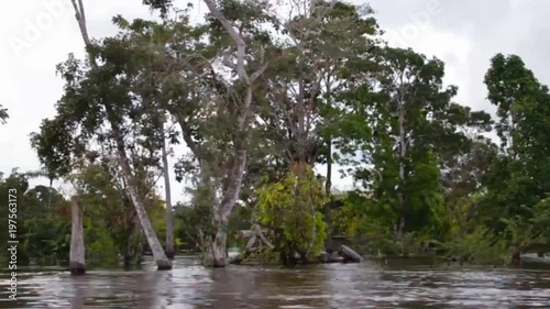 Navigating along the amazonic river, Amazonas, Brazil. 60 FTP