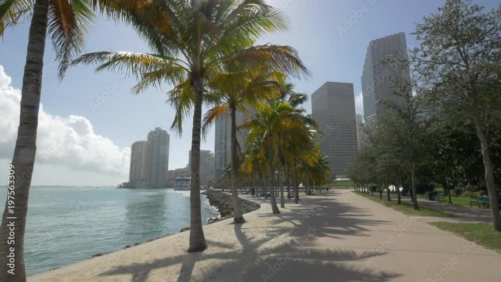 custom made wallpaper toronto digitalPalm trees on the waterfront in Miami