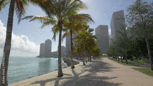 Wallpaper Mural Palm trees on the waterfront in Miami Torontodigital.ca