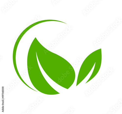 leaf logo design for nature icon or agriculture product
