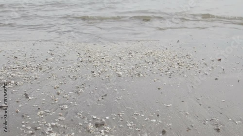 waves on the beach of shells. Close up
