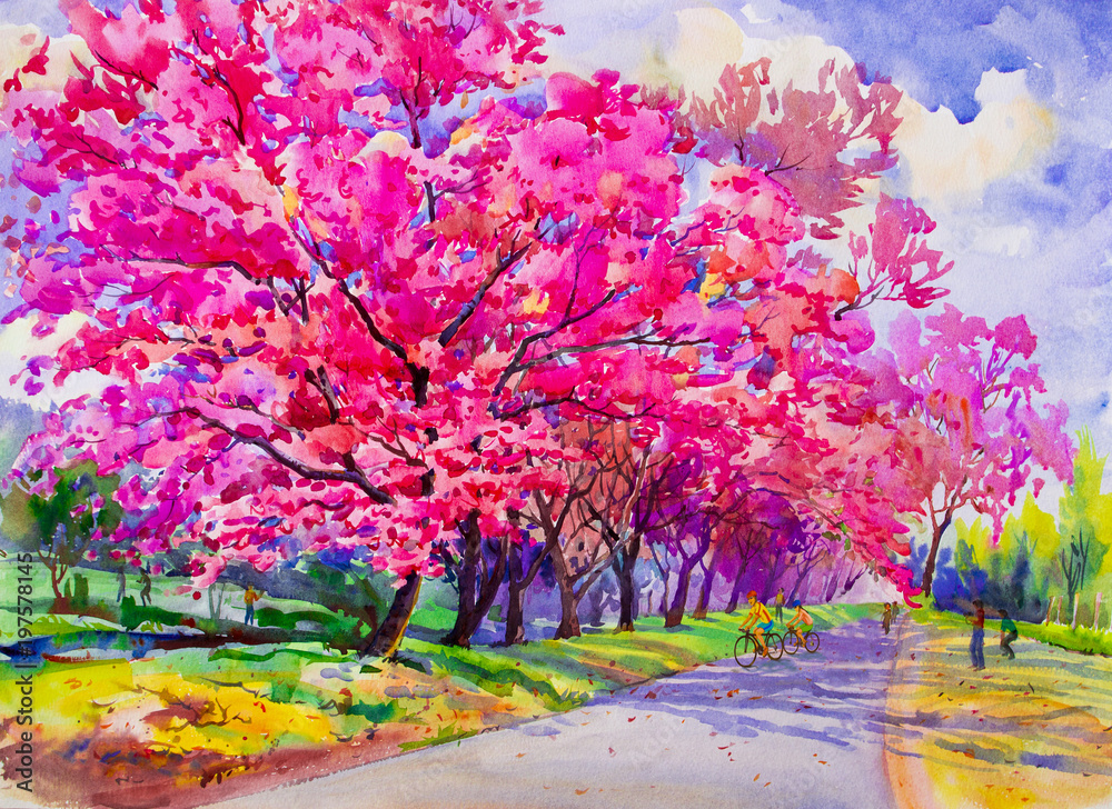 Obraz Malowanie akwareli krajobrazu; różowy kolor Dzikiej wiśni himalajskiej.