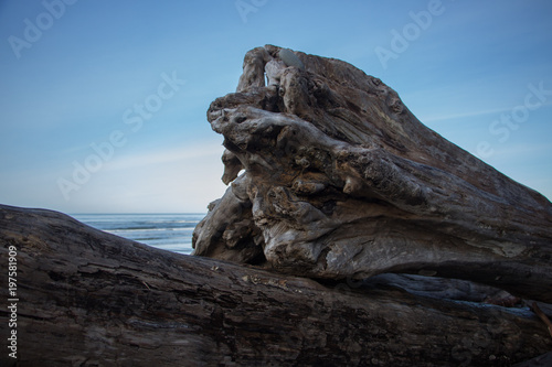Rocks and driftwood in the sand on the beach with waves in background
