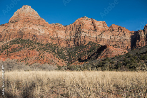 The Watchman and Dry Grass