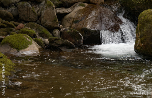 Water rushing over bolders in a creek in Great Smoky Mountains National Park