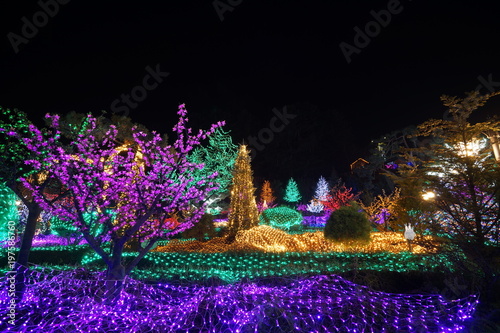 Wallpaper Mural 포천 허브 아일랜드 Torontodigital.ca