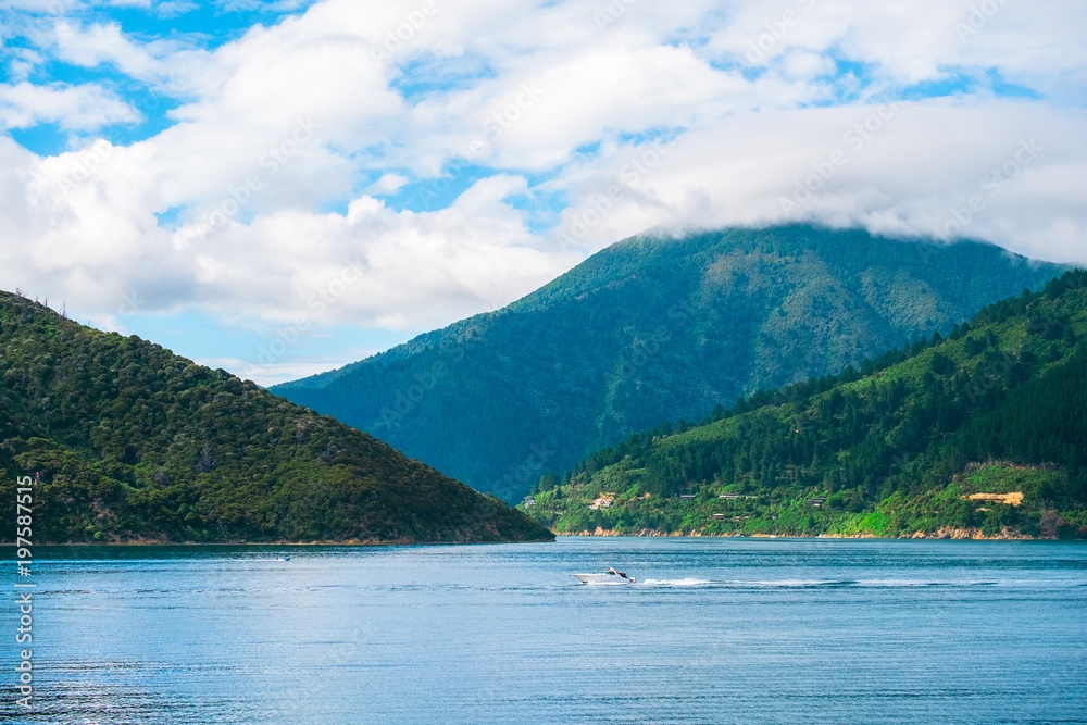 Beautiful landscape of blue ocean and City of Picton among the green nature. Beautiful landscape of blue ocean and City of Picton among the green nature.