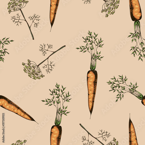 Seamless pattern of carrot and dill