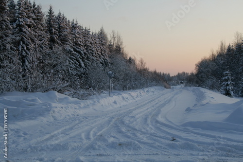 Зимняя дорога © Юлия Удодова