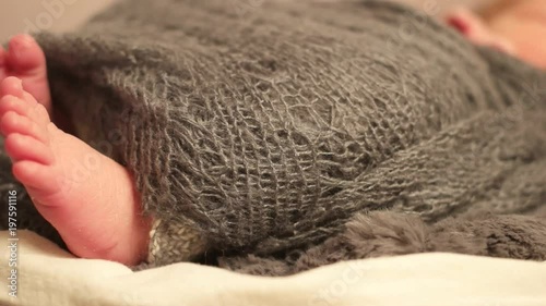 Tuny little legs of a newborn wrapped up with a dark scarf, lying on back photo