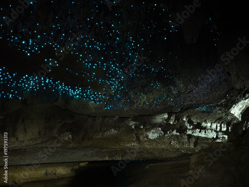 Illuminated Glow Worm Sky in Dark Cave, Waipu Caves, North Island, New Zealand, Like Waitomo Caves photo