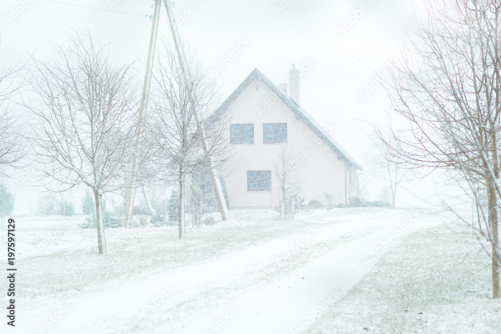 Naklejka premium Blizzard at farm in countryside. Fields covered in fog, snow covered trees.