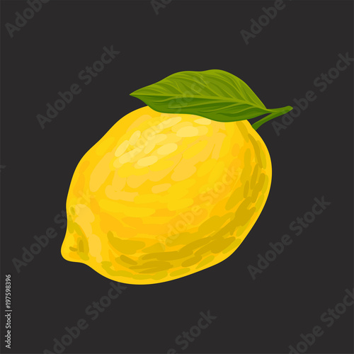 Fresh lemon, whole citrus fruit vector Illustration on a black background
