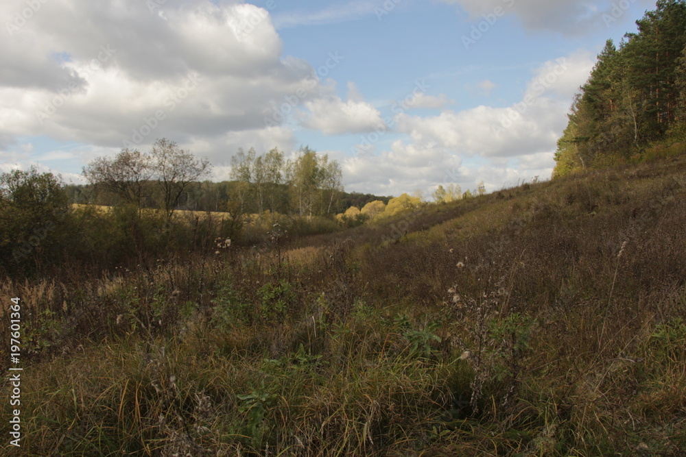 Fototapeta premium Yasnaya Polyana