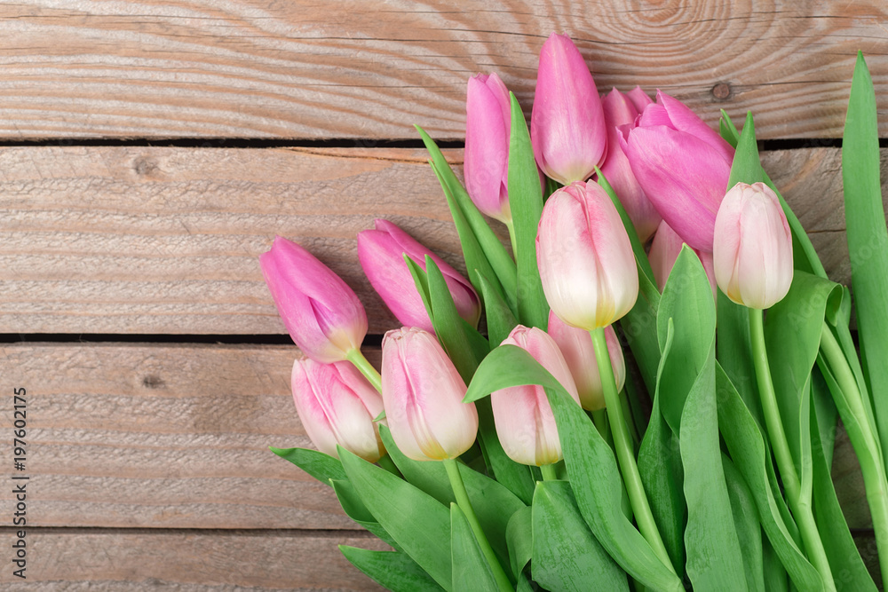 Tulips on the wooden background Tulips on the wooden background
