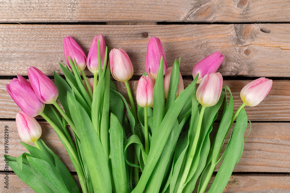 Tulips on the wooden background