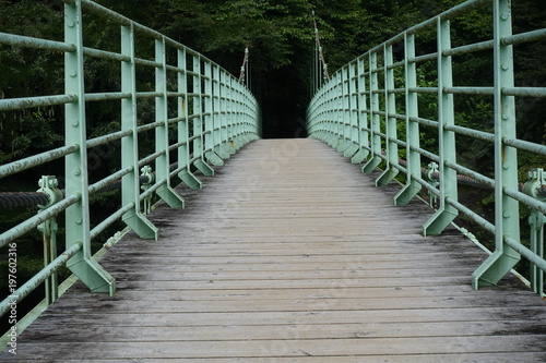 Bridge leading into dark forest