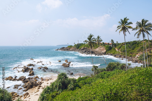Fototapeta Naklejka Na Ścianę i Meble -  Beautiful scenic view of palm trees on coastline, mirissa, sri lanka
