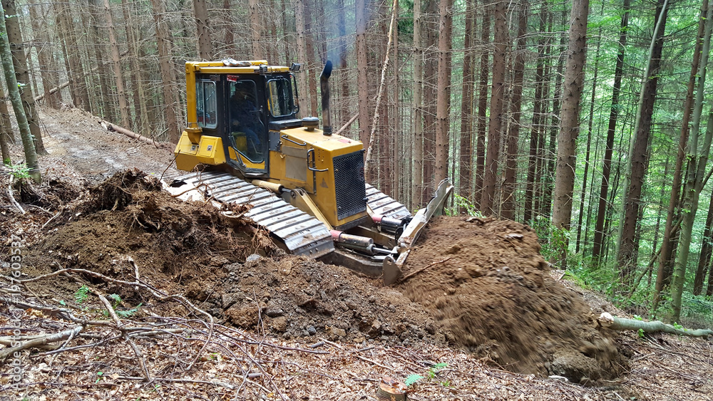Fototapeta premium The bulldozer makes way in the forest