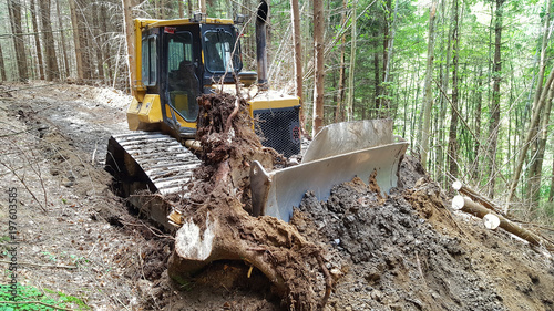 The bulldozer makes way in the forest