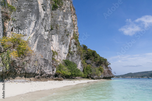 beautiful scenic view of rocky formations covered with plants and ocean, phi phi islands