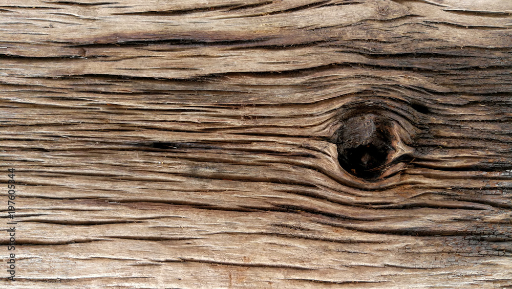 Naklejka premium Nature wood background and texture