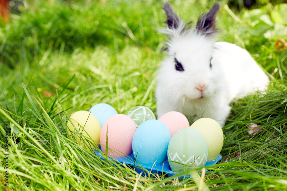 Happy Easter! Easter bunny and Easter eggs on green grass. Blur Happy Easter! Easter bunny and Easter eggs on green grass. Blur