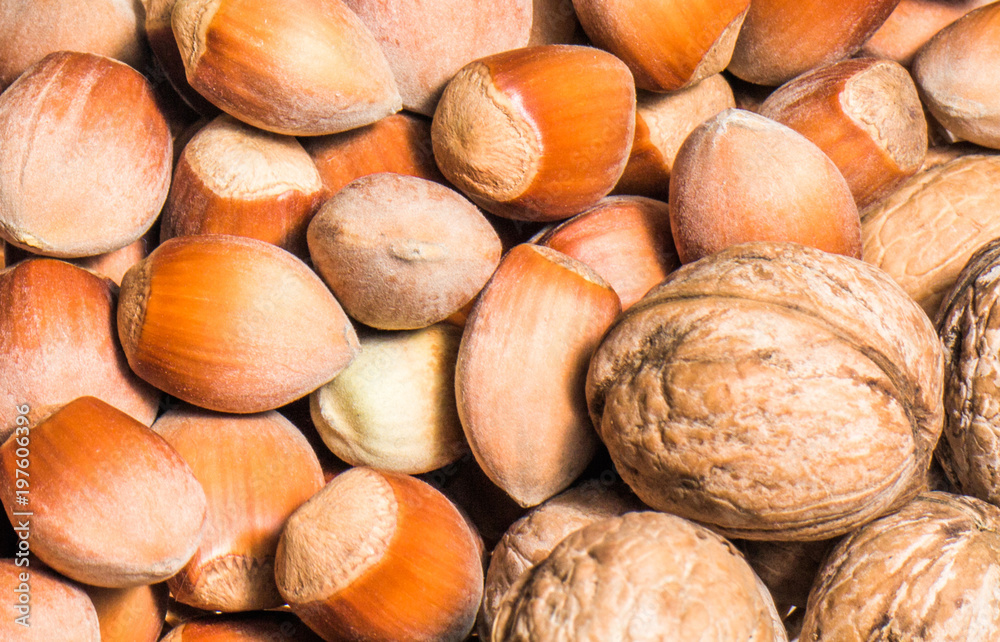 Forest nuts and walnut nuts on background Forest nuts and walnut nuts on background
