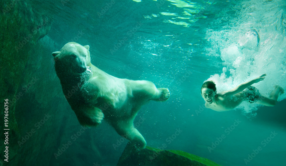 Meeting with the Polar bear - obrazy, fototapety, plakaty 