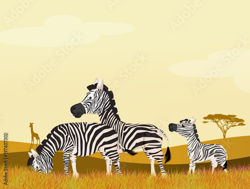 illustration of zebras in African landscape