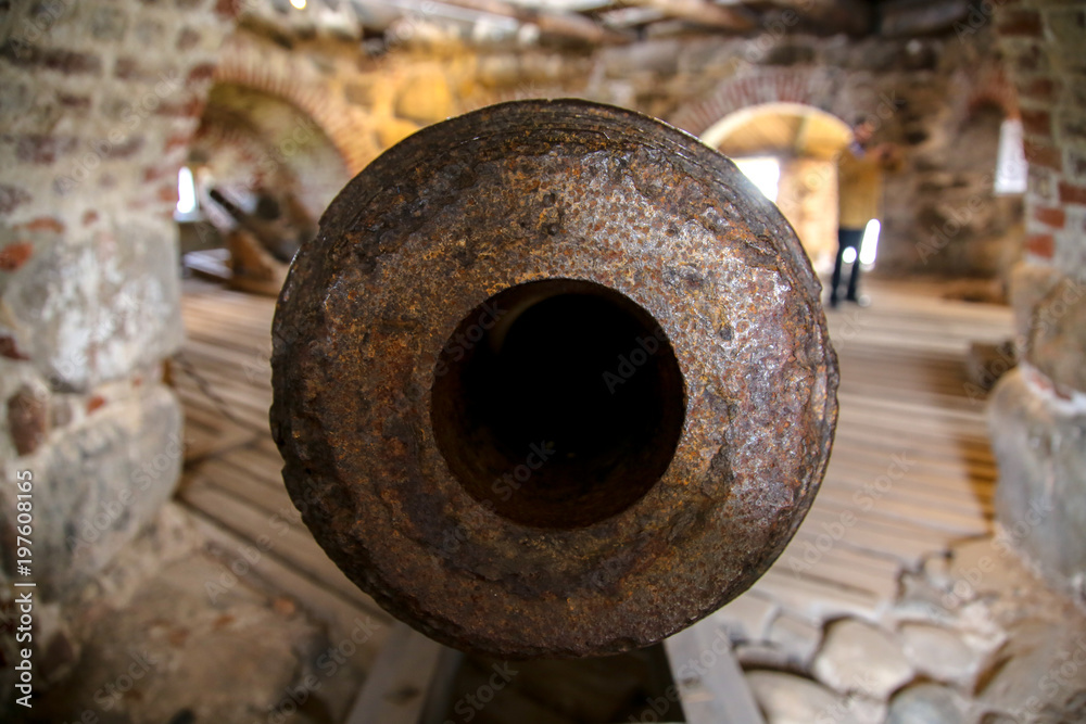 the barrel of the gun with the kernel the barrel of the gun with the kernel