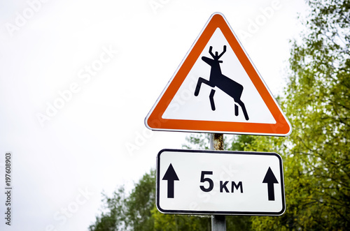 Moose warning roadsign