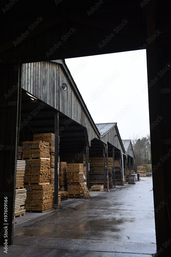 scierie industrie bois industriel chêne Wallonie Belgique scierie industrie bois industriel chêne Wallonie Belgique