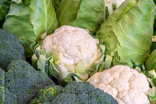 various types of cabbage / fresh cauliflower, broccoli and cabbage  photo