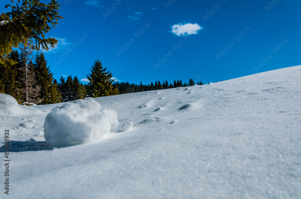 Beautiful mountain Igman Beautiful mountain Igman