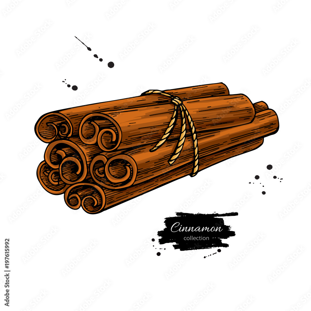 Cinnamon sticks hand drawn sketch Royalty Free Vector Image