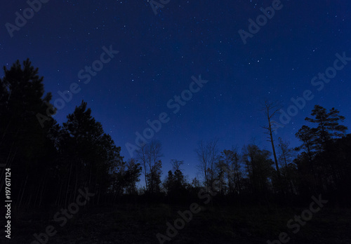 Sky with stars in North Carolina