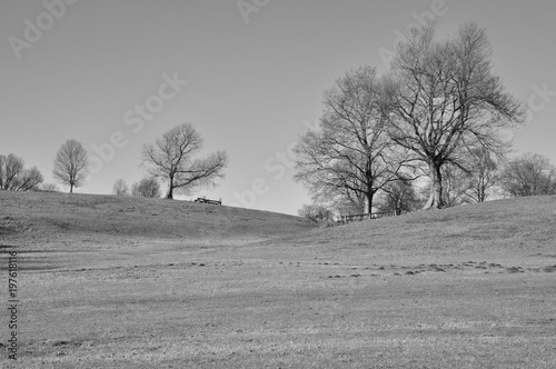 Alberi con ostacoli su prato invernale di centro equestre con alberi e boschi sullo sfondo. Pratoni del Vivaro, Castelli Romani, Lazio, Italia. Bianco e nero photo