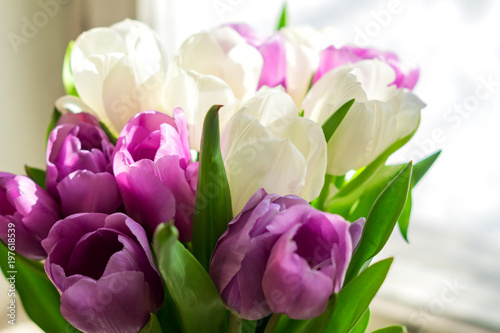bouquet of purple and white tulips on window sill © IKvyatkovskaya