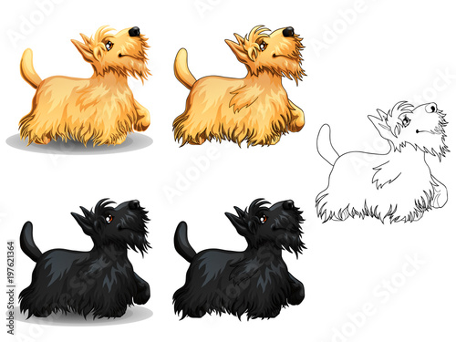 Set Border Collie colorful and contour