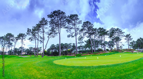 a fragment golf course with flagsticks at holes in the pine forest photo