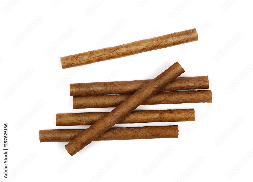 Cigarillos isolated on white background, top view