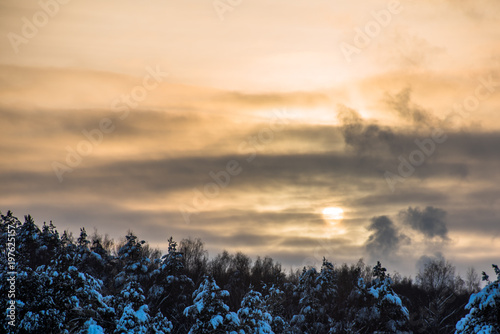 Sunset winter landscape in forest with spindrift clouds